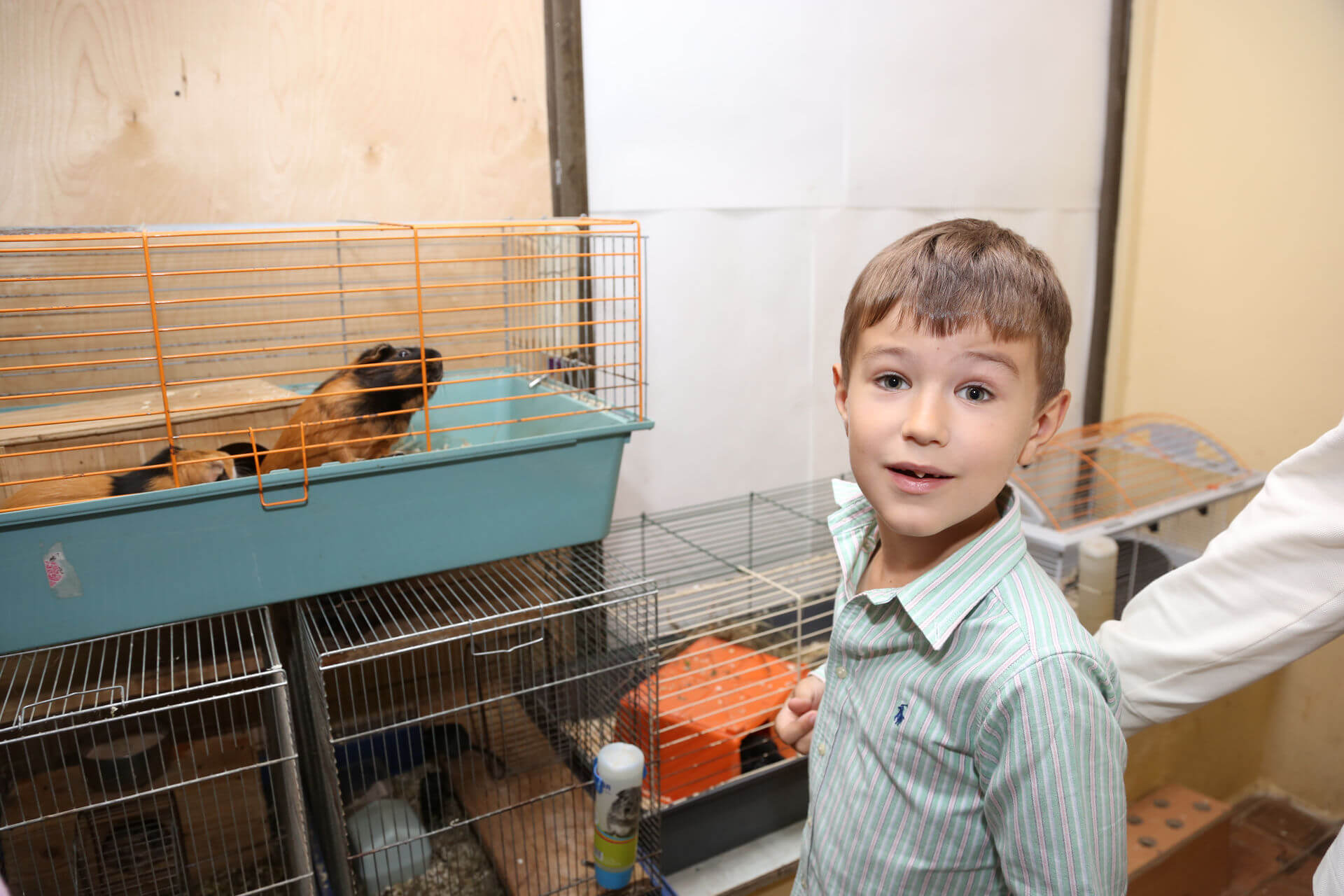 ПОЧТА РОССИИ