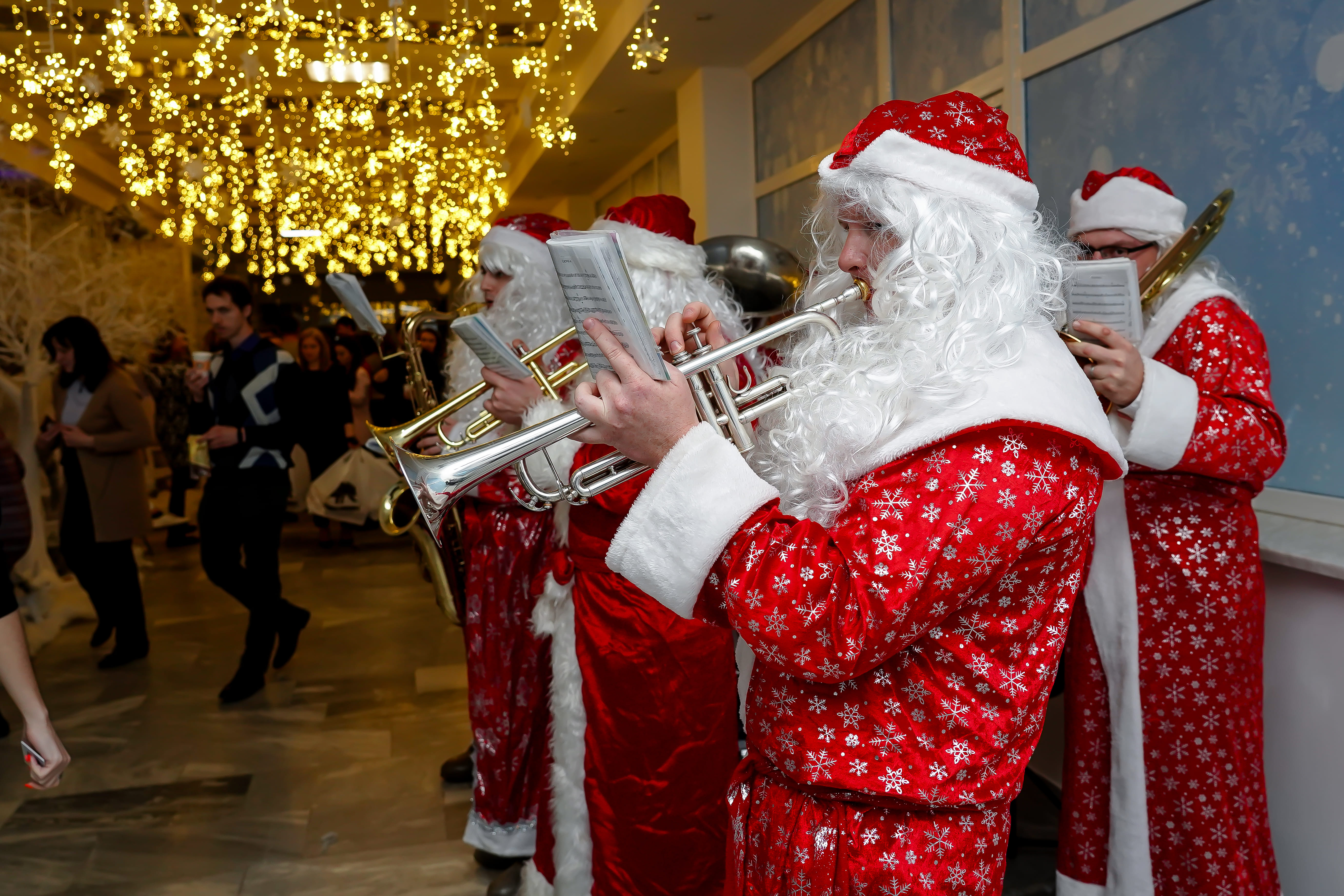 СКАЗОЧНЫЙ ЛЕС